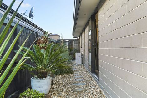 Photo of property in 21 Naismith Street, Chartwell, Hamilton, 3210