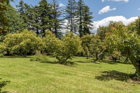 Photo of property in 5 Old Highway, Whakamarama, Tauranga, 3180