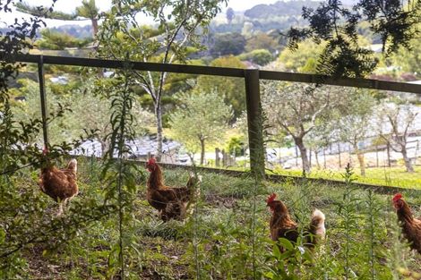 Photo of property in 1071 Tauhoa Road, Kaipara Flats, Warkworth, 0984