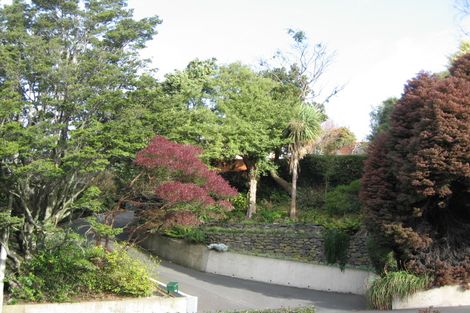 Photo of property in 359 Stuart Street, Roslyn, Dunedin, 9010