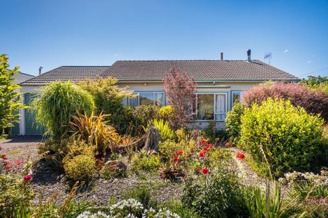 Photo of property in 21 Drake Street, Feilding, 4702