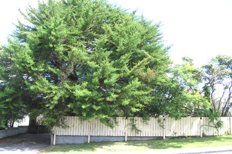 Photo of property in 99 Sycamore Drive, Sunnynook, Auckland, 0620