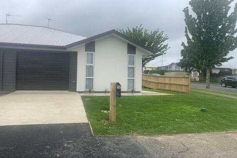 Photo of property in 14b Hinau Street, Maeroa, Hamilton, 3200