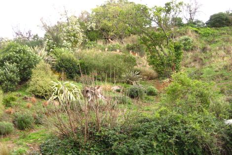 Photo of property in 21 Macandrew Road, Careys Bay, Port Chalmers, 9023