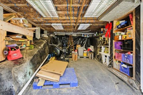 Photo of property in 21 Sunbury Street, Andersons Bay, Dunedin, 9013