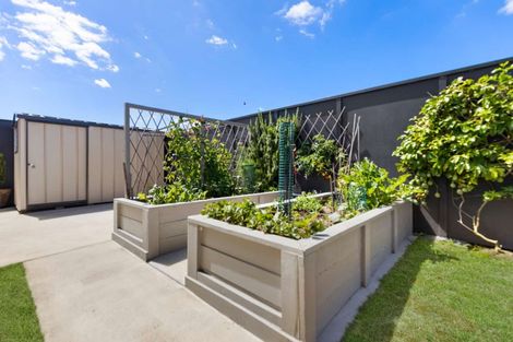 Photo of property in 16 Wahaika Way, Papamoa Beach, Papamoa, 3118