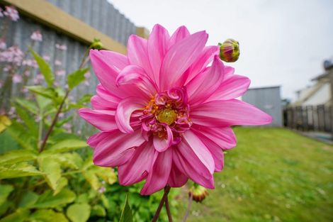 Photo of property in 3/71 Earn Street, Appleby, Invercargill, 9812