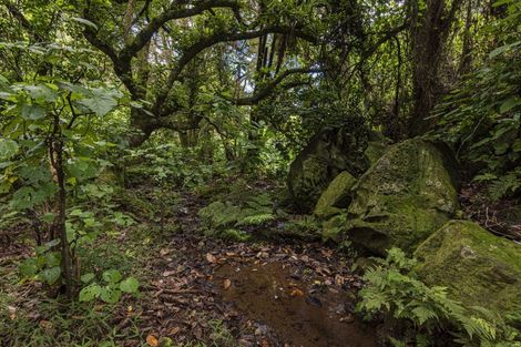 Photo of property in 161 Newton Road, Maungatapere, Whangarei, 0170