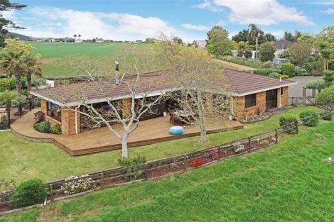 Photo of property in 366 Waiuku Road, Puni, Pukekohe, 2678