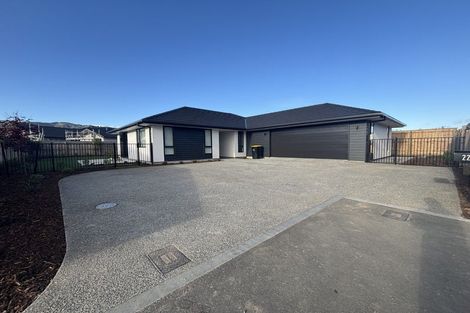 Photo of property in 22 Rubus Street, Appleby, Richmond, 7020