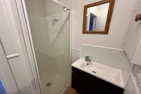 Photo of property in 1/259 Ulster Street, Whitiora, Hamilton, 3200