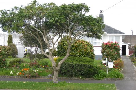 Photo of property in 48 Drake Street, Vogeltown, New Plymouth, 4310