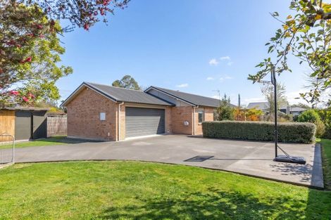 Photo of property in 19 Nash Place, Masterton, 5810