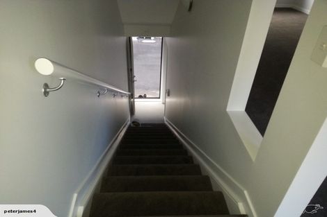 Photo of property in 56 Harold Street, Mount Eden, Auckland, 1024