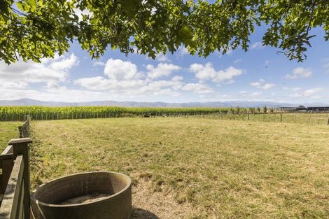 Photo of property in 485 Poplar Road, Opiki, Palmerston North, 4474