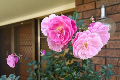 Photo of property in 44 Pencarrow Street, Highbury, Palmerston North, 4412