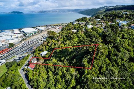 Photo of property in 8 Korokoro Road, Korokoro, Lower Hutt, 5012