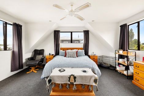 Photo of property in 1010 Totara Street, Mahora, Hastings, 4120