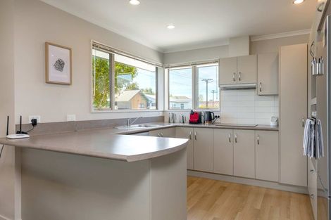 Photo of property in 113 Charles Street, Blenheim, 7201