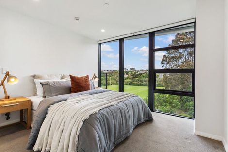 Photo of property in 305/8 Kingsland Terrace, Kingsland, Auckland, 1021