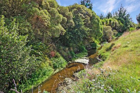 Photo of property in 131 Palmer Road, Foxton Beach, Foxton, 4891