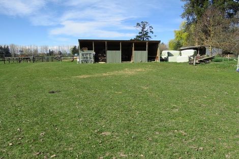 Photo of property in 167 Nixons Road, Fairlie, 7987