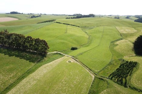 Photo of property in 31 Windy Ridge Road, Benhar, Balclutha, 9272