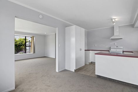 Photo of property in 13 Albizia Place, Richmond, 7020