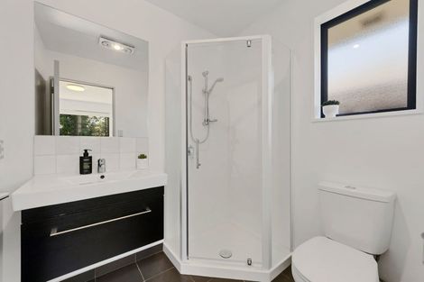 Photo of property in 20 Larne Place, Belfast, Christchurch, 8051