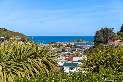 Photo of property in 63 Rhine Street, Island Bay, Wellington, 6023
