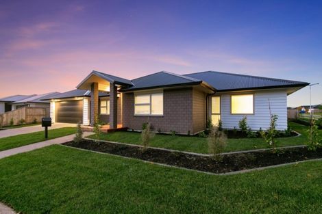 Photo of property in 51 Puhirake Crescent, Pyes Pa, Tauranga, 3112