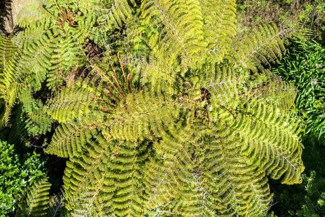 Photo of property in 20 Tutaritari Road, Hahei, Whitianga, 3591