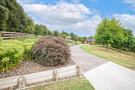 Photo of property in 11 Linehan Road, Te Awamutu, 3875