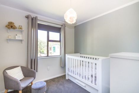 Photo of property in 165 Salisbury Street, Ashhurst, 4810