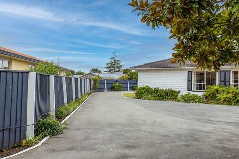 Photo of property in 19b Castile Place, Belfast, Christchurch, 8051