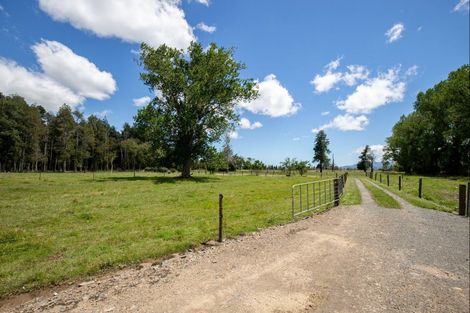 Photo of property in 455 Bush Road, Turua, Ngatea, 3597