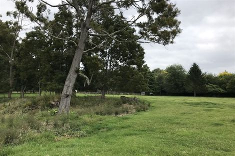 Photo of property in 50c Cedar Park Road, Tamahere, Hamilton, 3283