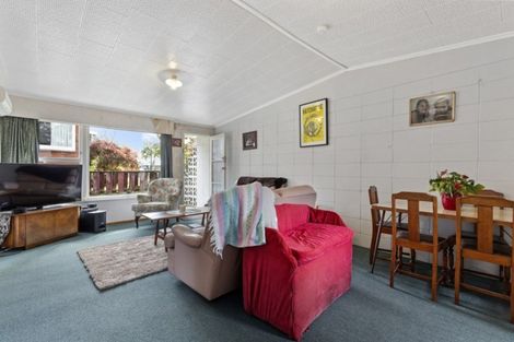 Photo of property in 9b Elizabeth Avenue, Morrinsville, 3300