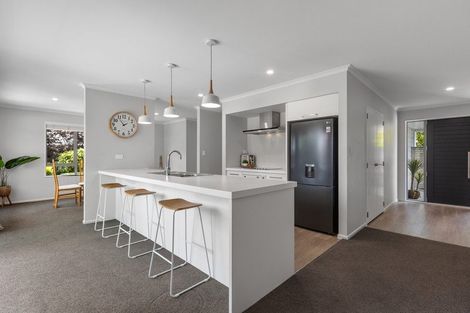 Photo of property in 276 Lakes Boulevard, Pyes Pa, Tauranga, 3112