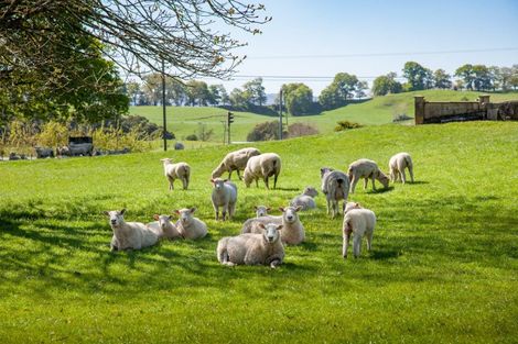 Photo of property in 3 Mcmillan Road, Tirau, 3484