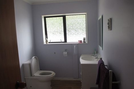 Photo of property in 17 Douglas Street, Levin, 5510