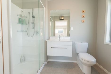 Photo of property in 48 Larch Crescent, Alexandra, 9320