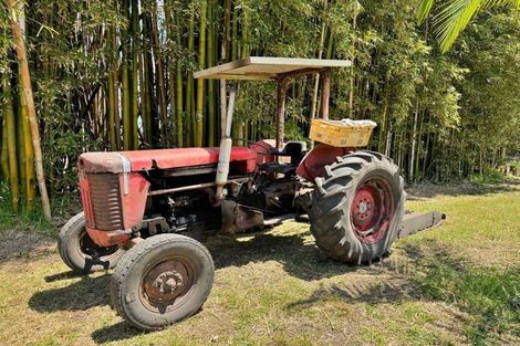 Photo of property in 4021 State Highway 1, Pukenui, Kaitaia, 0484