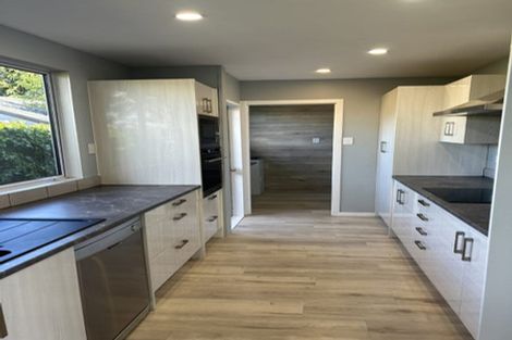 Photo of property in 21 Antimony Crescent, Cromwell, 9310