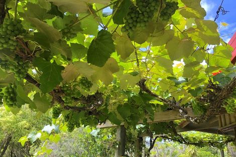 Photo of property in 1212 Whangarei Heads Road, Parua Bay, Whangarei, 0174