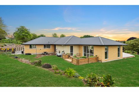 Photo of property in 920a Bond Road, Te Awamutu, 3879
