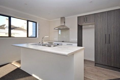 Photo of property in 52b Alfred Street, Fairfield, Hamilton, 3214