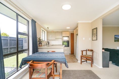 Photo of property in 34a Fitzroy Street, Terrace End, Palmerston North, 4410