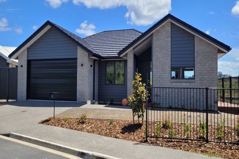 Photo of property in 4 Kauri Lane, Omokoroa, 3114