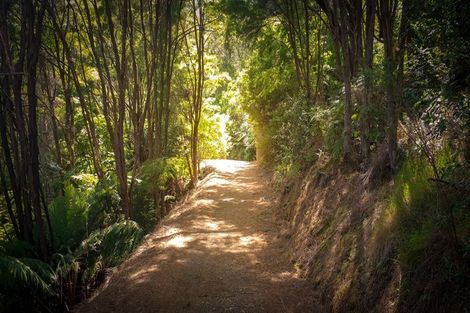 Photo of property in 671 Hikuai Settlement Road, Pauanui, Hikuai, 3579